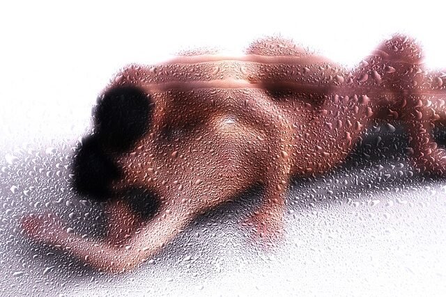 365 Sussurros Matinais - Mensagens sexy WhatsApp para Aquecer o Casamento